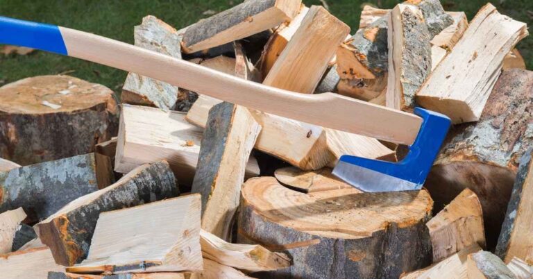 Best Axe For Splitting Wood