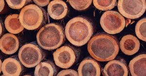 How To Protect Cedar Wood